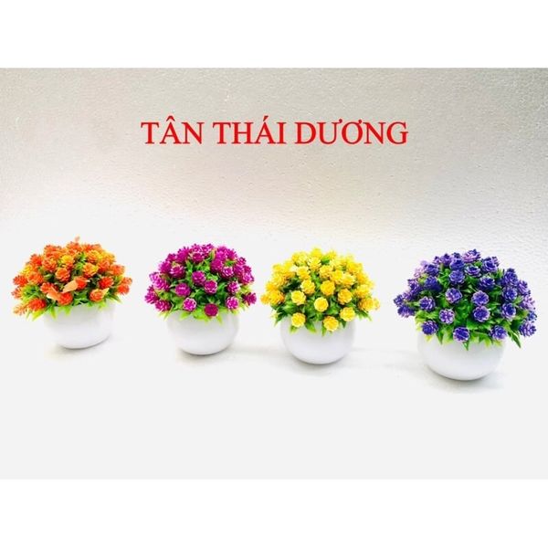 Hoa giả - Chậu hoa baby tròn nhỏ để bàn - Decor trang trí siêu xinh