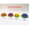 Hoa giả - Chậu hoa baby tròn nhỏ để bàn - Decor trang trí siêu xinh