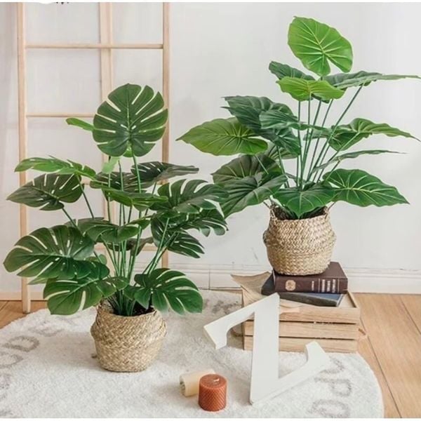 Cây giả - Cây trầu bà cao cấp 12 lá - Decor, Trang trí nhà cửa