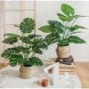 Cây giả - Cây trầu bà cao cấp 12 lá - Decor, Trang trí nhà cửa