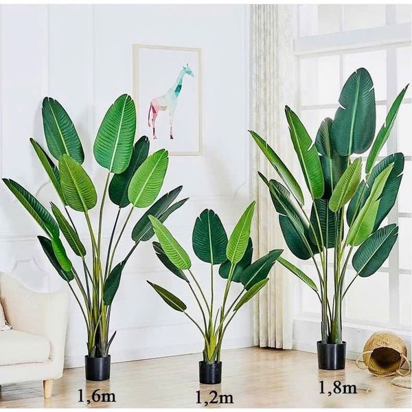Cây Giả - Cây chuối giả giống thật 99% - Cây chuối cảnh Decor trang trí nhà cửa
