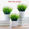 Cụm cỏ giả - Decor trang trí nhà cửa - Cây hoa giả trang trí