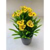 Hoa Giả - Chậu Hoa Giả - Chậu hoa thuỷ tiên giả trang trí nhà cửa - Decor siêu đẹp