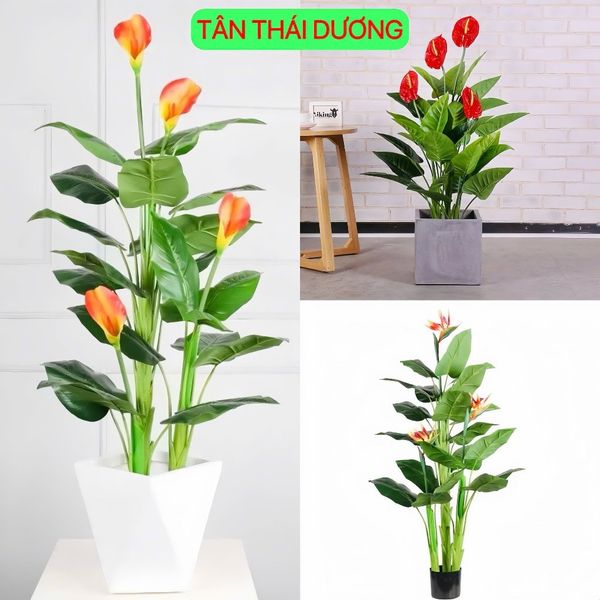 Cây Giả - Cây hoa rum, Cây thiên điểu, Cây môn hồng trang trí nhà cửa - Cây giả decor