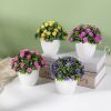 Hoa giả - Chậu hoa baby tròn nhỏ để bàn - Decor trang trí siêu xinh