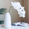 Cành hoa lan hồ điệp giả  - Hàng cao cấp bằng cao su 7 bông cánh xoăn - Trang trí cực đẹp và sang trọng