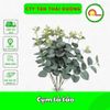 Cụm lá táo , tạo điểm nhấn 16 nhánh - hàng đẹp giống thật