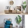 Cây Giả - Cây chuối giả giống thật 99% - Cây chuối cảnh Decor trang trí nhà cửa