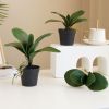 Cụm Lá Giả - Cụm lá LAN HỒ ĐIỆP giả - Trang trí, điểm bó hoa, chậu hoa giả