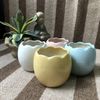Chậu gốm, sứ cỡ nhỏ - Chậu gốm sứ mini - Chậu trồng cây để bàn, trồng sen đá - Trang trí nhà cửa