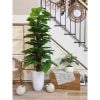 Cây Giả - Cây trầu bà giả cao cấp cao 1,6m - Cây trầu bà giả decor, Trang trí nhà cửa