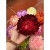 Đầu bông hoa cúc đại đoá giả đường kính 12cm