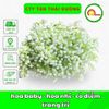 100g hoa baby - hoa nhí - cỏ điểm trang trí hộp quà , bó hoa tươi - hoa sáp
