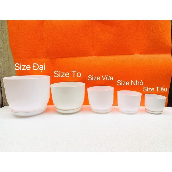 (Loại dày) Chậu trồng cây - Chậu nhựa tròn giả sứ kèm đĩa trồng cây cảnh mini, sen đá - Chậu trồng hoa