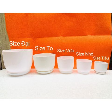(Loại dày) Chậu trồng cây - Chậu nhựa tròn giả sứ kèm đĩa trồng cây cảnh mini, sen đá - Chậu trồng hoa