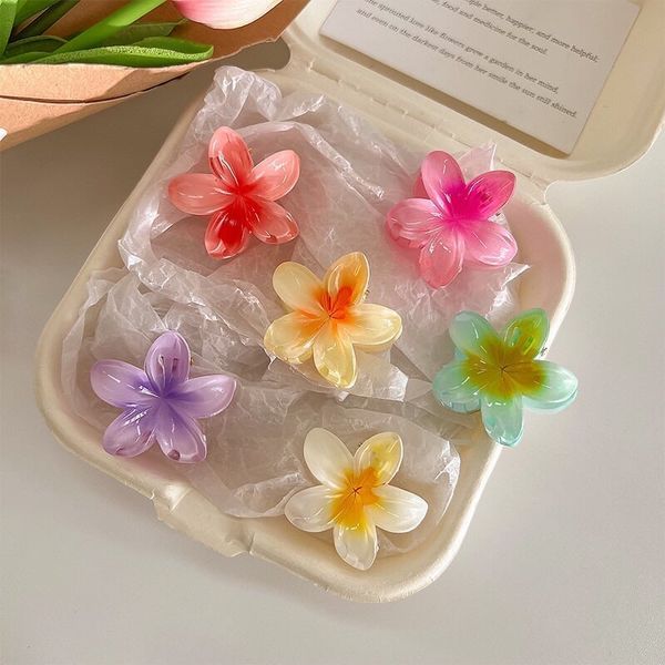 Cặp tóc hoa sứ ,kẹp tóc hoa mai nhiều màu sắc ,kẹp tóc đi biển siêu xinh
