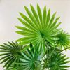 Cây Giả - Cụm cọ giả 12 lá cao cấp - Decor Trang trí nhà cửa