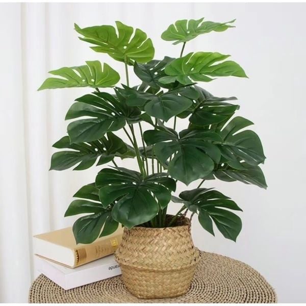 Cây giả - Cây trầu bà cao cấp 12 lá - Decor, Trang trí nhà cửa