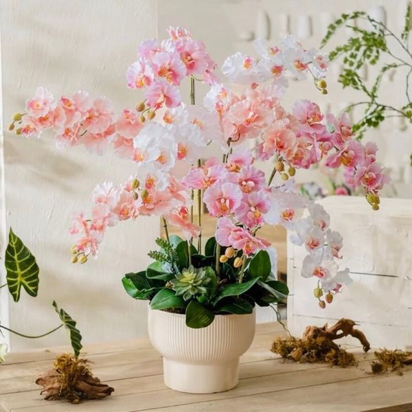 Cành hoa lan hồ điệp giả  - Hàng cao cấp bằng cao su 7 bông cánh xoăn - Trang trí cực đẹp và sang trọng