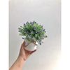 Hoa giả - Chậu hoa tú cầu để bàn, decor trang nhà nhà cửa cực đẹp