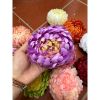 Đầu bông hoa cúc đại đoá giả đường kính 12cm