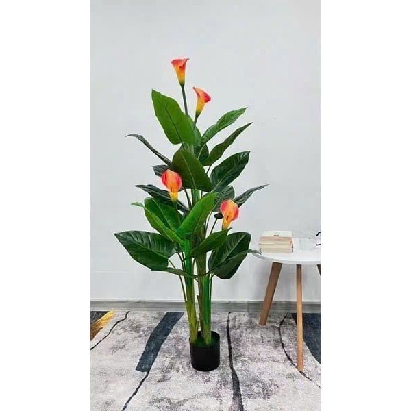 Cây Giả - Cây hoa rum, Cây thiên điểu, Cây môn hồng trang trí nhà cửa - Cây giả decor
