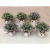 Hoa giả - Chậu hoa tú cầu để bàn, decor trang nhà nhà cửa cực đẹp