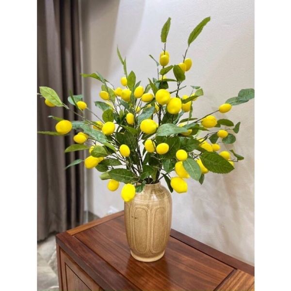Cành quả chanh vàng - Thân mốc trang trí nhà cửa, cắm bình hoa để bàn