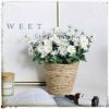 Cành giả - Cành hoa cúc hoạ mi - Decor trang trí cắm lọ hoa siêu xinh