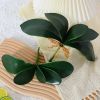 Cụm Lá Giả - Cụm lá LAN HỒ ĐIỆP giả - Trang trí, điểm bó hoa, chậu hoa giả
