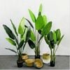 Cây Giả - Cây chuối giả giống thật 99% - Cây chuối cảnh Decor trang trí nhà cửa
