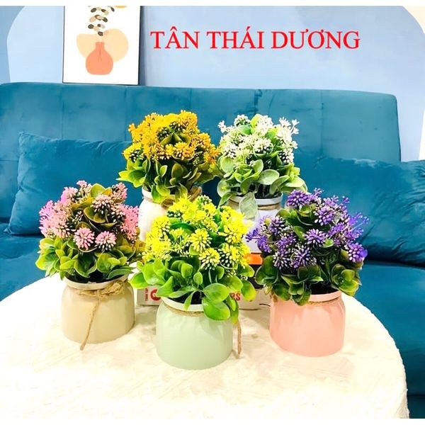 Chậu cây giả - Chậu cây tú cầu nhí để bàn - Decor trang trí nhà cửa cực đẹp