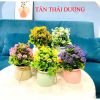 Chậu cây giả - Chậu cây tú cầu nhí để bàn - Decor trang trí nhà cửa cực đẹp