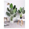 Cây Giả - Cây chuối giả giống thật 99% - Cây chuối cảnh Decor trang trí nhà cửa