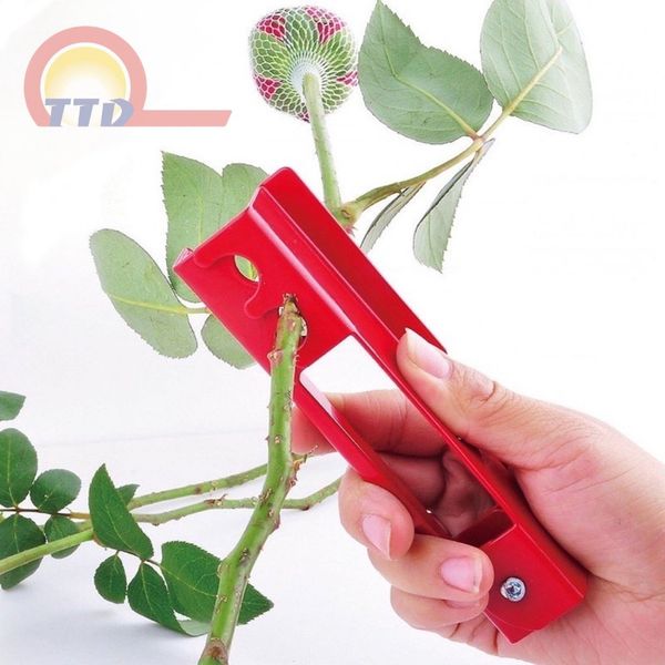 KÌM TUỐT GAI HOA HỒNG - GIÁ RẺ - MÀU NGẪU NHIÊN