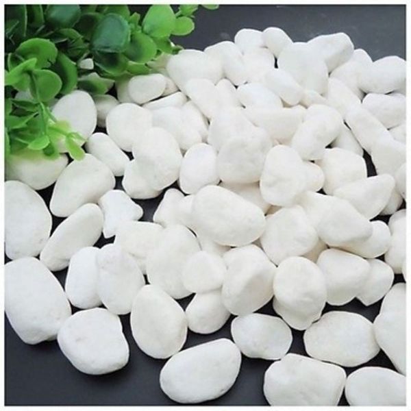 500gram đá trắng - Sỏi trắng trang trí chậu cây, chậu hoa - Trang trí chậu cây tiểu cảnh - Trải nền bể cá cảnh