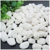 500gram đá trắng - Sỏi trắng trang trí chậu cây, chậu hoa - Trang trí chậu cây tiểu cảnh - Trải nền bể cá cảnh