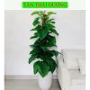 Cây Giả - Cây trầu bà giả cao cấp cao 1,6m - Cây trầu bà giả decor, Trang trí nhà cửa