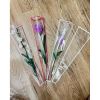 Set 10 túi đựng hoa 1 bông trong suốt