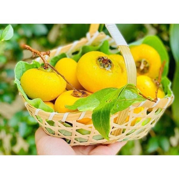Lẵng tre - Làn tre đựng hoa quả - Decor chụp ảnh