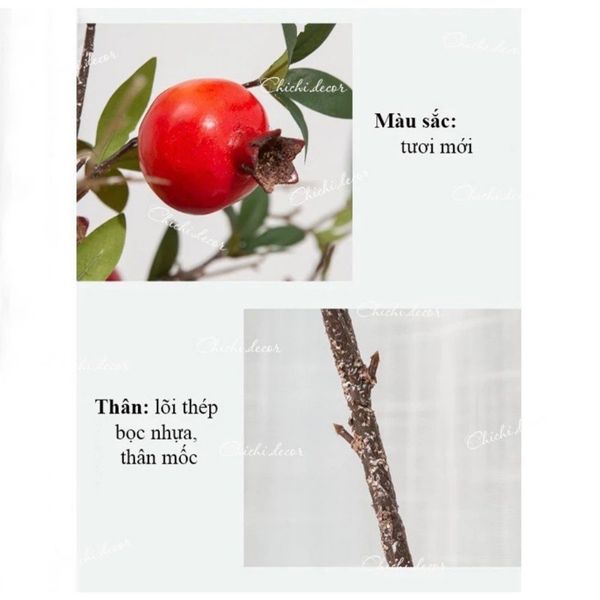 Cành Quả Lựu Giả Thân Mốc Giống Thật 99%