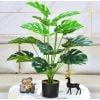 Cây giả - Cây trầu bà cao cấp 12 lá - Decor, Trang trí nhà cửa