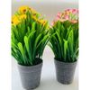 Hoa Giả - Chậu Hoa Giả - Chậu hoa thuỷ tiên giả trang trí nhà cửa - Decor siêu đẹp