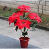Cây Giả - Cây hoa Trạng Nguyên giả cao cấp giống thật 99% - Decor Trang trí nhà cửa cực đẹp