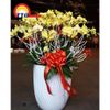 CÀNH TUYẾT TRANG TRÍ NOEL, LỄ TẾT, BÓ HOA, LẴNG HOA
