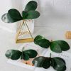Cụm Lá Giả - Cụm lá LAN HỒ ĐIỆP giả - Trang trí, điểm bó hoa, chậu hoa giả