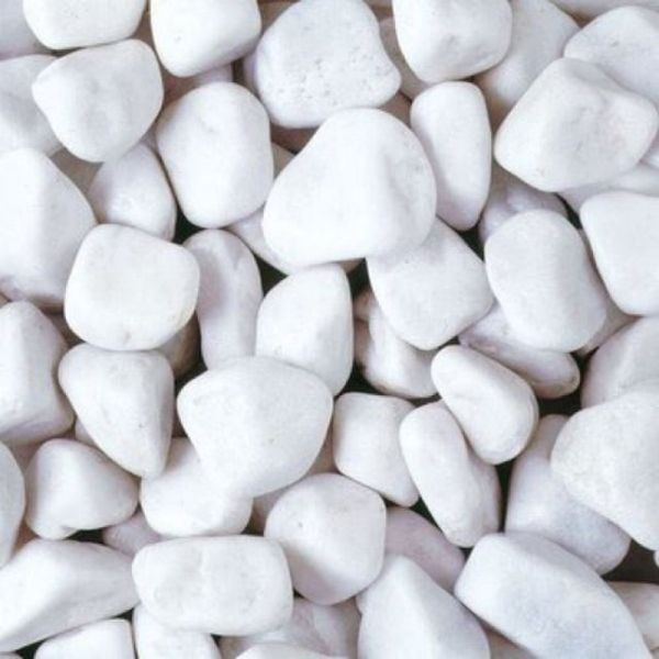 500gram đá trắng - Sỏi trắng trang trí chậu cây, chậu hoa - Trang trí chậu cây tiểu cảnh - Trải nền bể cá cảnh