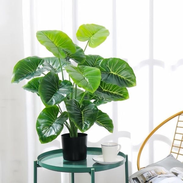Cây giả - Cây trầu bà cao cấp 12 lá - Decor, Trang trí nhà cửa