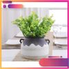 1 CÀNH BẠCH ĐÀN GIẢ - cắm bình hoa - trang trí nhà cửa - decor quán cà phê VV