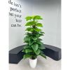 Cây Giả - Cây trầu bà giả cao cấp cao 1,6m - Cây trầu bà giả decor, Trang trí nhà cửa